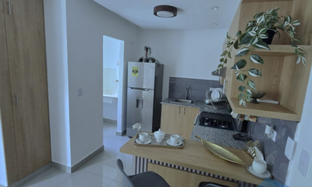 Diseno-sin-titulo-56