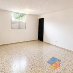 Diseno-sin-titulo-7
